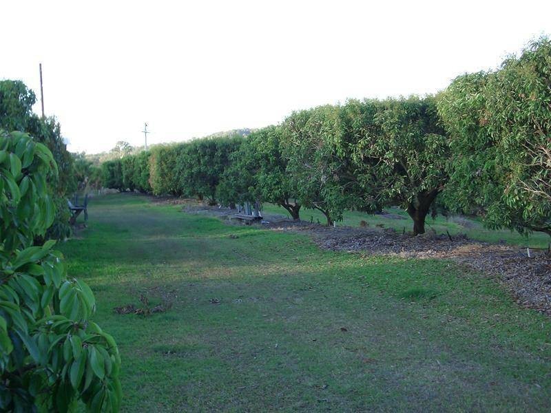 209 Malone Road, Mareeba QLD 4880