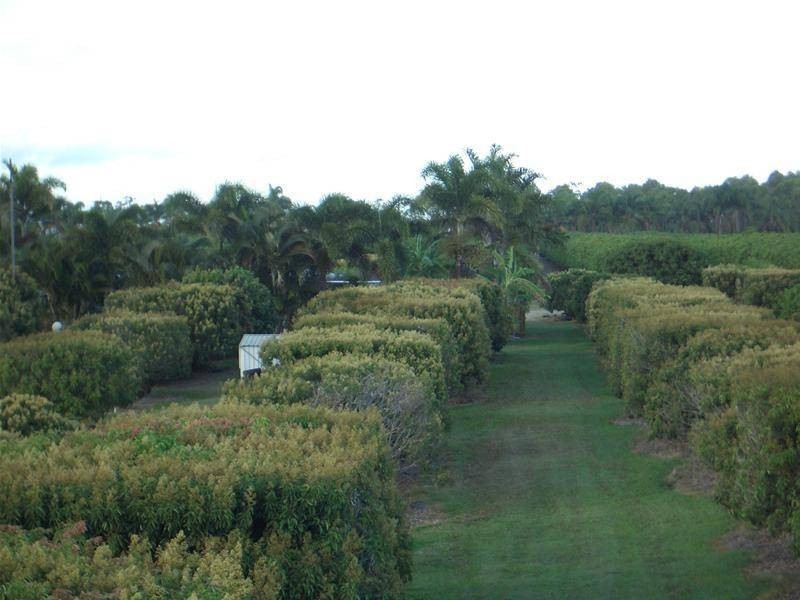 209 Malone Road, Mareeba QLD 4880