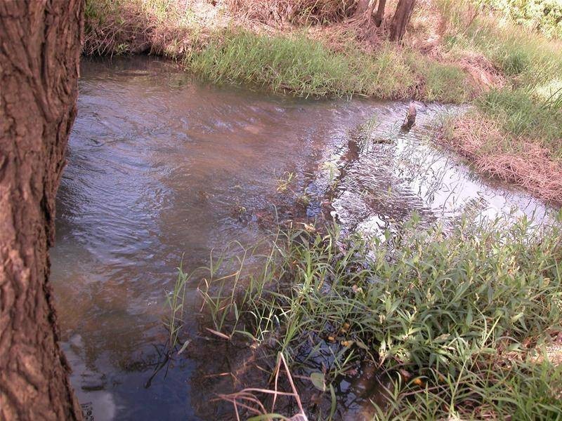 209 Malone Road, Mareeba QLD 4880