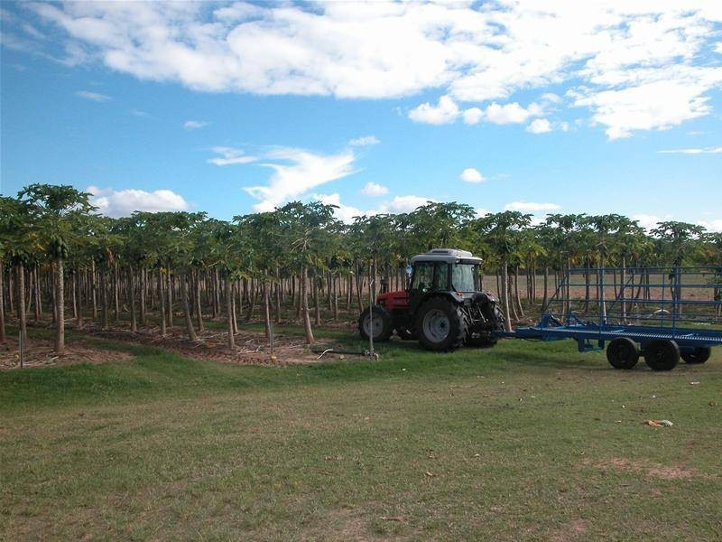 184 Lower Sandy Creek Road, Dimbulah QLD 4872