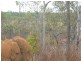 Coronet Drive, Mareeba QLD 4880