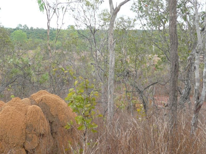 Coronet Drive, Mareeba QLD 4880