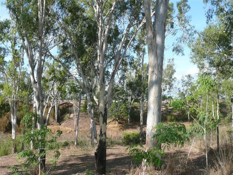 253 Kenneally Road, Mareeba QLD 4880