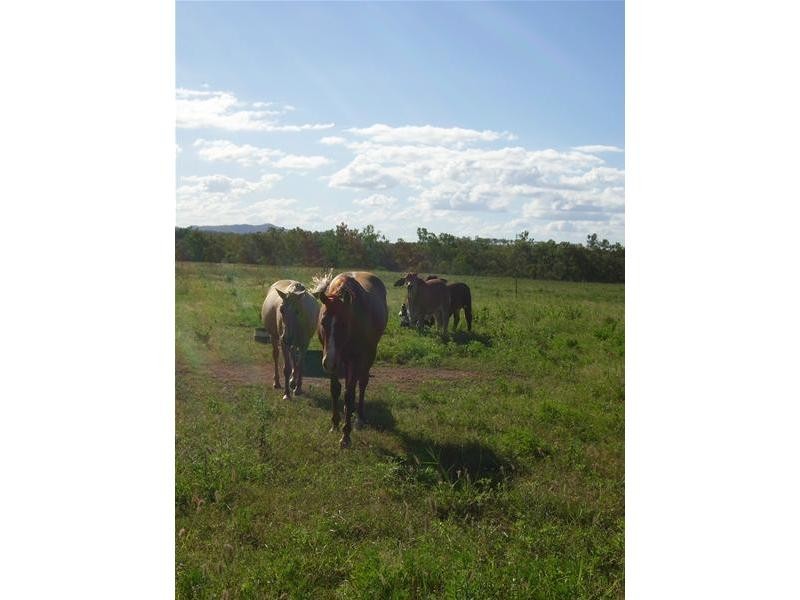 1 Delacey Road, Dimbulah QLD 4872