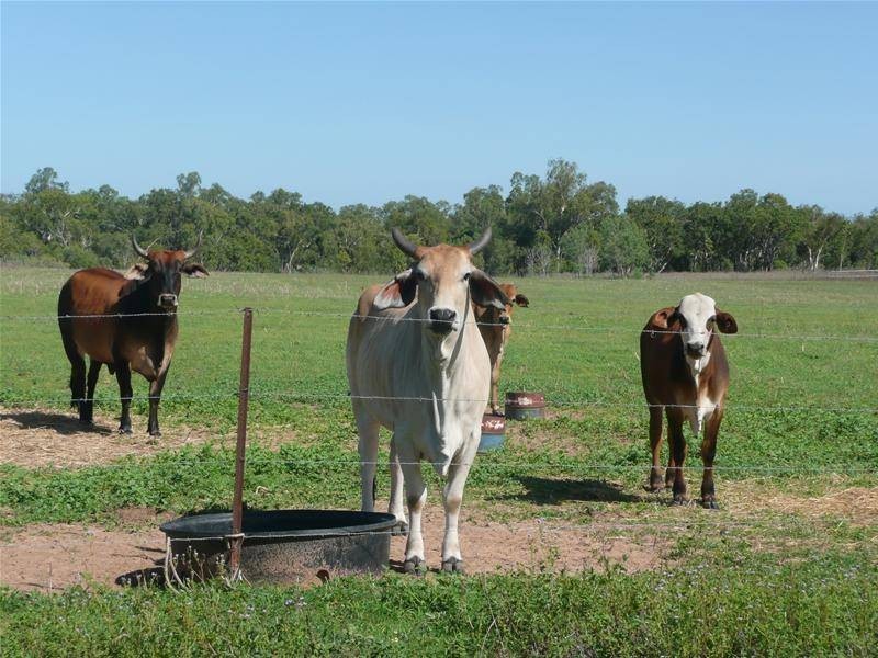 1 Delacey Road, Dimbulah QLD 4872