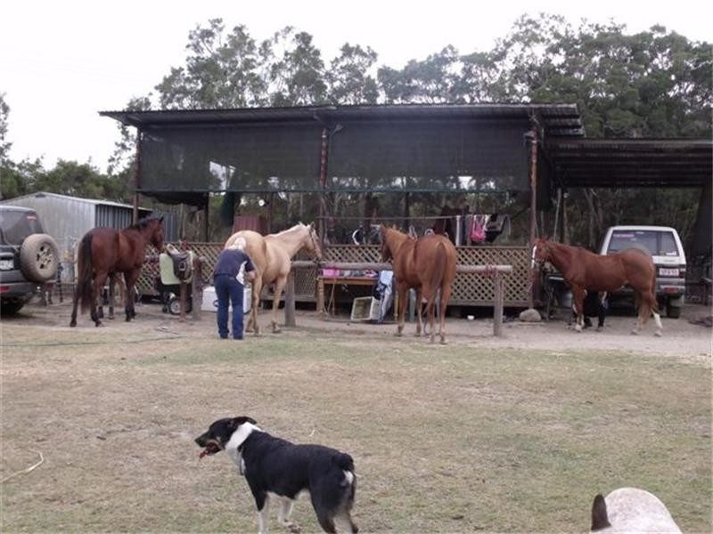 176 Fraser Road, Mount Molloy QLD 4871