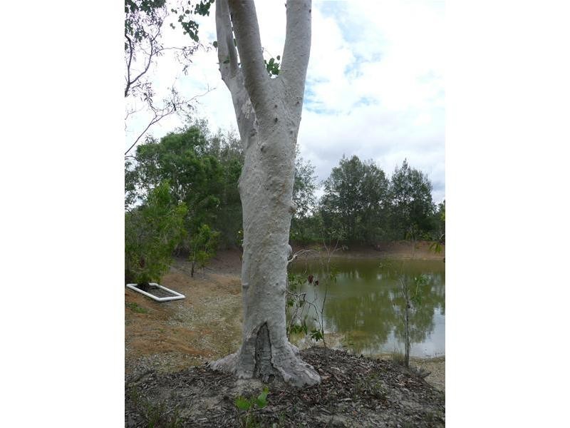 176 Fraser Road, Mount Molloy QLD 4871