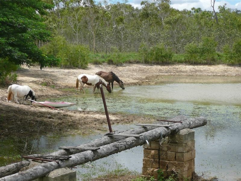 176 Fraser Road, Mount Molloy QLD 4871