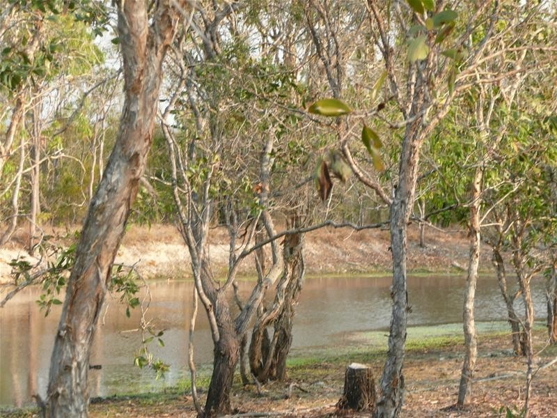 167 Orchid Close, Mareeba QLD 4880