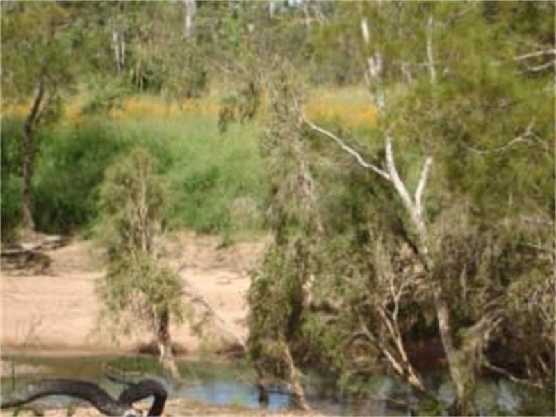 17 Top Eureka Creek Road, Dimbulah QLD 4872