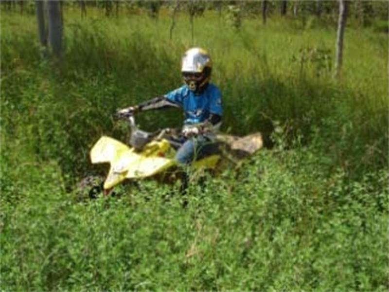 17 Top Eureka Creek Road, Dimbulah QLD 4872