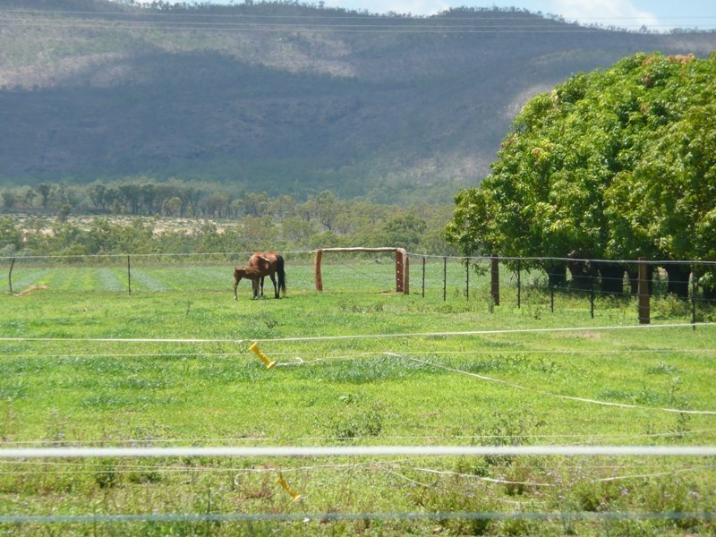 88 Sandy Ck Road, Dimbulah QLD 4872