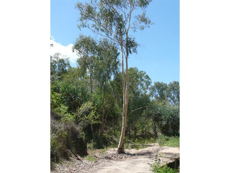 88 Sandy Ck Road, Dimbulah QLD 4872