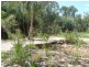 88 Sandy Ck Road, Dimbulah QLD 4872