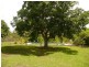 36 Mitchellvale Road, Mount Molloy QLD 4871