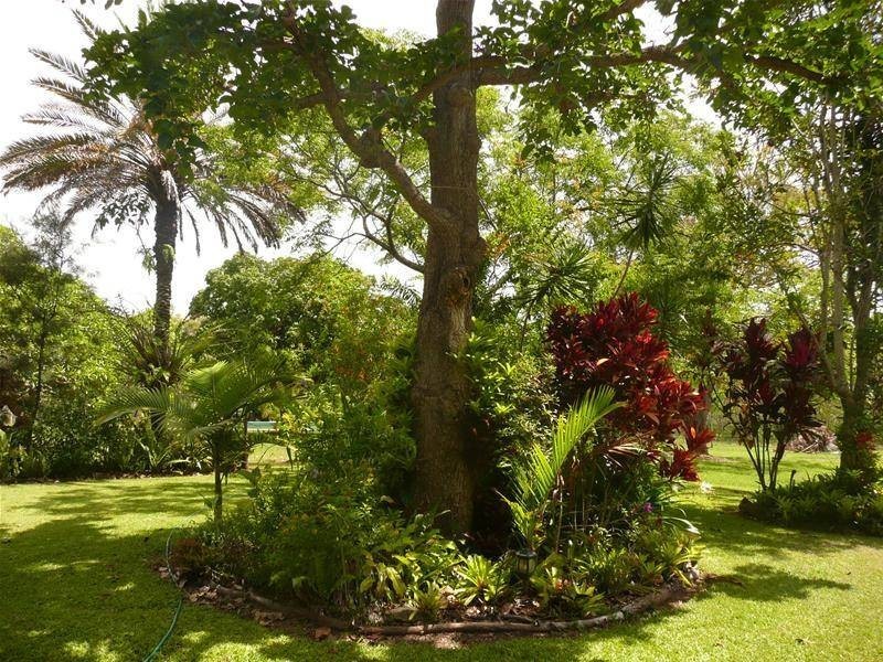 36 Mitchellvale Road, Mount Molloy QLD 4871