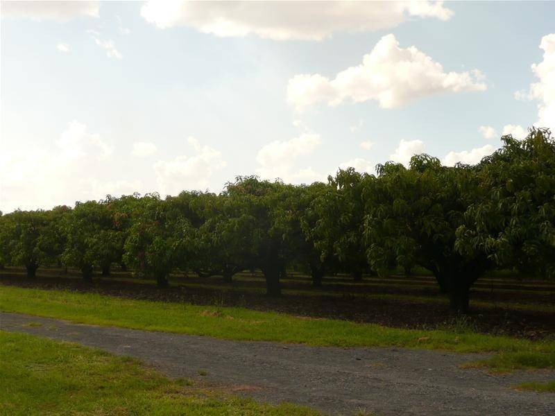 86 River Road, Mareeba QLD 4880