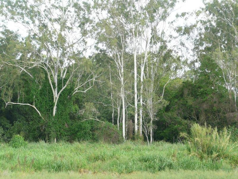 86 River Road, Mareeba QLD 4880