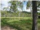 708 Bilwon Road, Mareeba QLD 4880