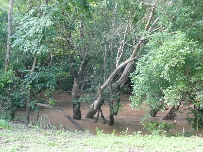 Mareeba QLD 4880
