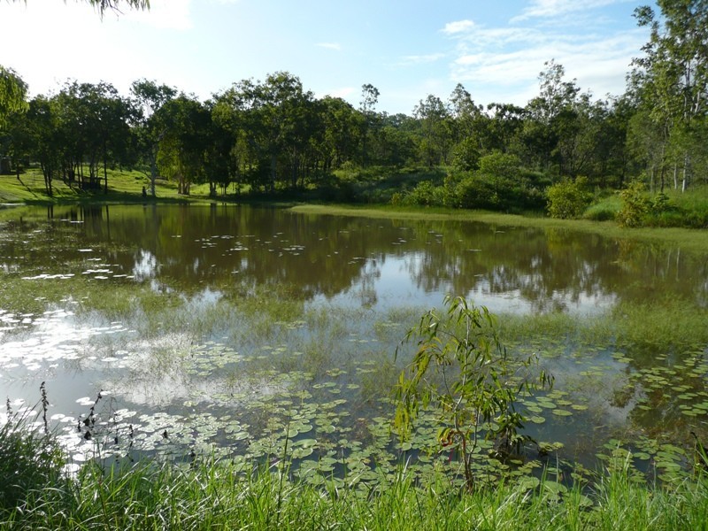 63 ORCHID Close, Mareeba QLD 4880