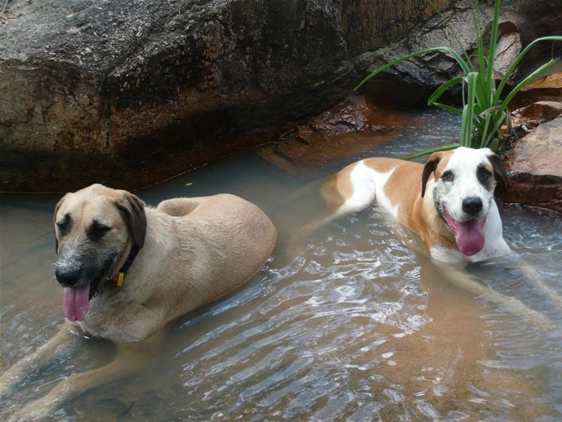 61 Leafgold Weir Road, Dimbulah QLD 4872