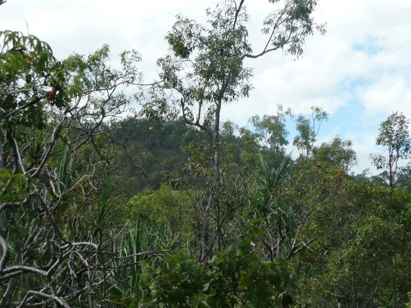 61 Leafgold Weir Road, Dimbulah QLD 4872