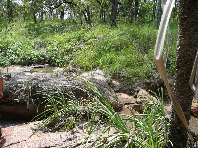 61 Leafgold Weir Road, Dimbulah QLD 4872