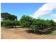 253 Kenneally RD. Road, Mareeba QLD 4880
