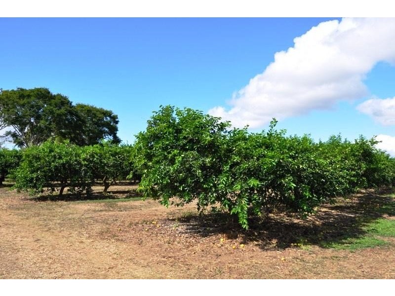 253 Kenneally RD. Road, Mareeba QLD 4880