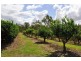 253 Kenneally RD. Road, Mareeba QLD 4880