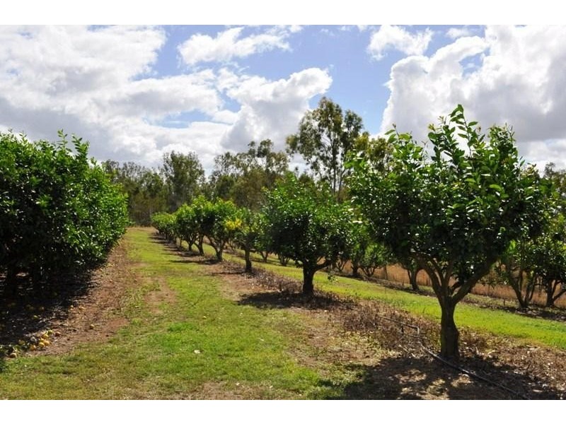 253 Kenneally RD. Road, Mareeba QLD 4880