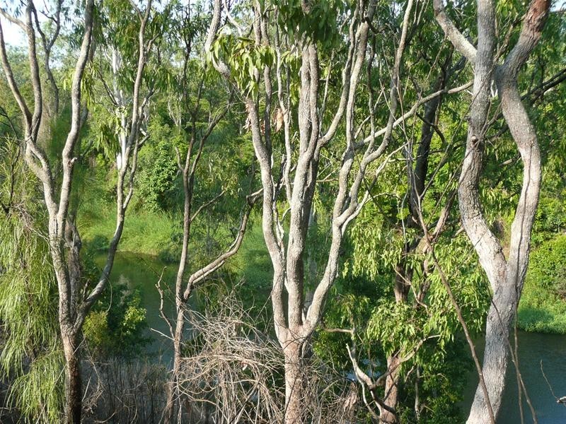 3 River Drive, Mareeba QLD 4880
