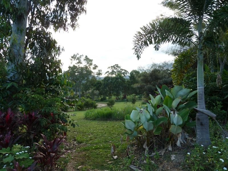 107 Mclean bridge Road, Julatten QLD 4871