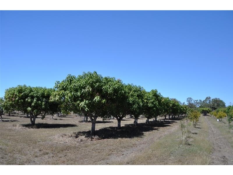 207 Kennedy Highway, Mareeba QLD 4880