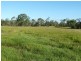 1129 Bilwon Road, Biboohra QLD 4880