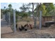 132 Emerald Heights Road, Mareeba QLD 4880
