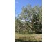 L7 HOOLAHAN Drive, Mareeba QLD 4880