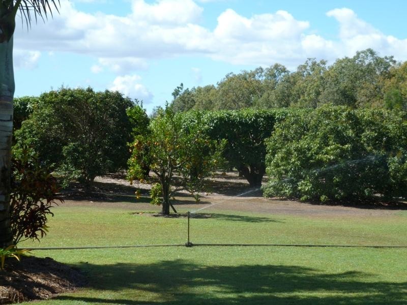 313 Springs Road, Mareeba QLD 4880