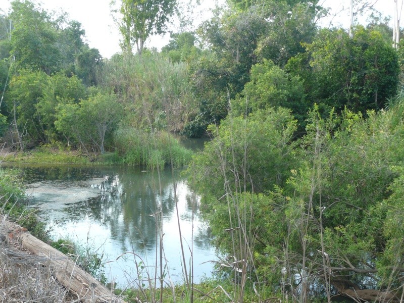 20 Parkland Circuit, Mareeba QLD 4880