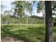 708 Bilwon Road, Mareeba QLD 4880