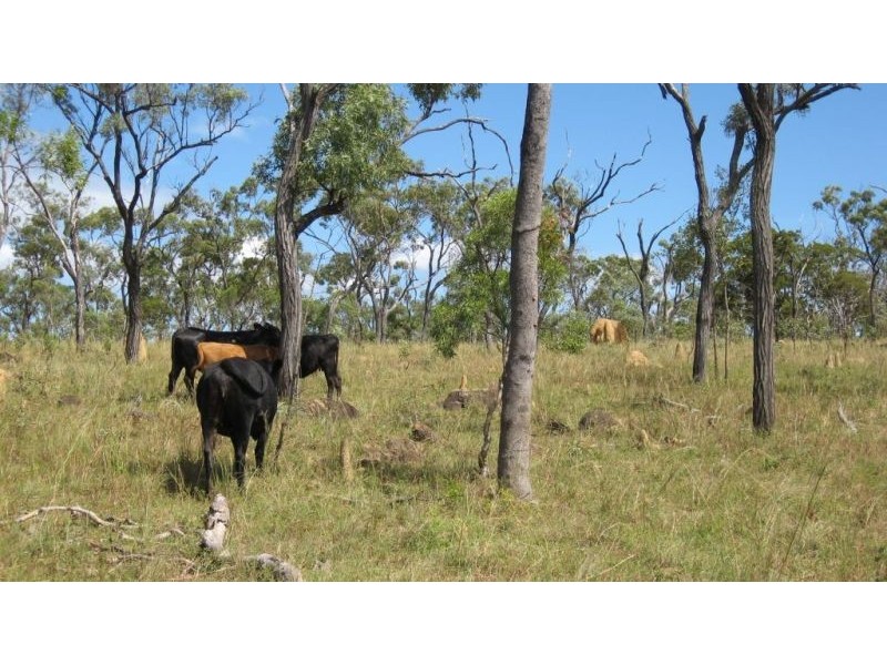 679 Mt Mulligan Road, Dimbulah QLD 4872