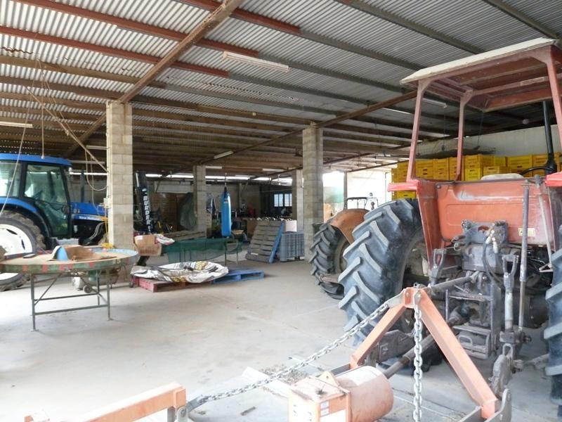 Biboohra QLD 4880
