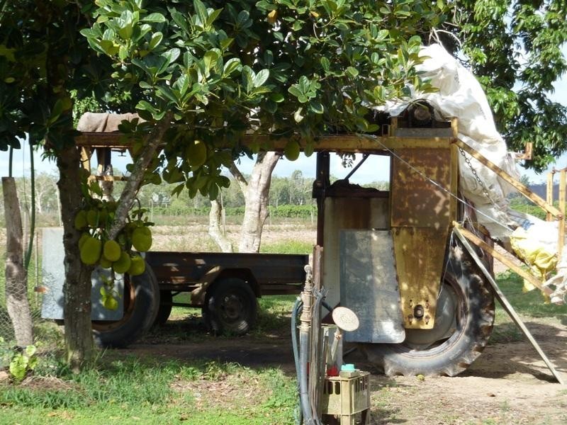 Biboohra QLD 4880