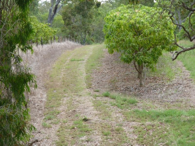 Biboohra QLD 4880