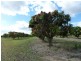Biboohra QLD 4880
