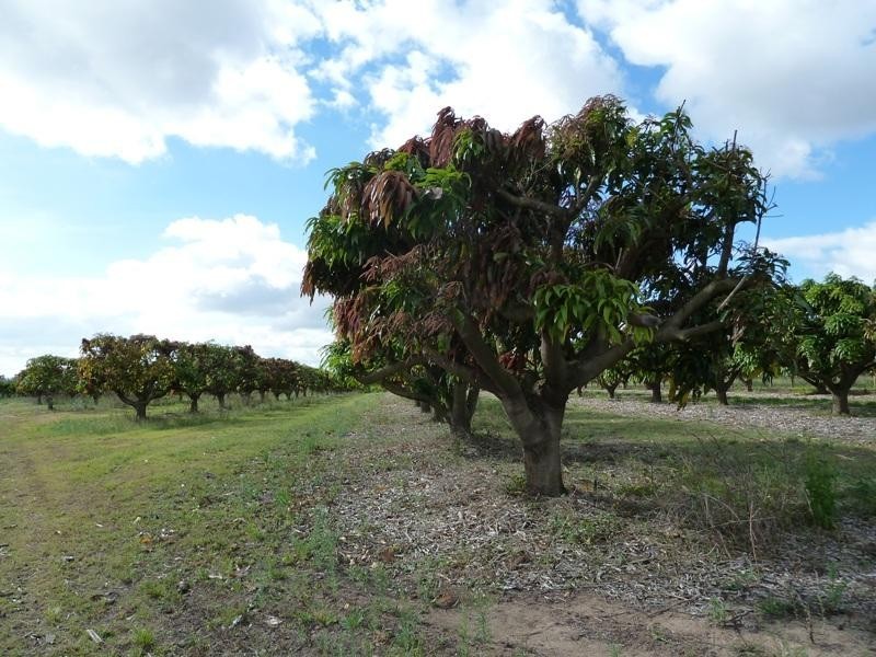 Biboohra QLD 4880