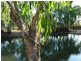 Biboohra QLD 4880