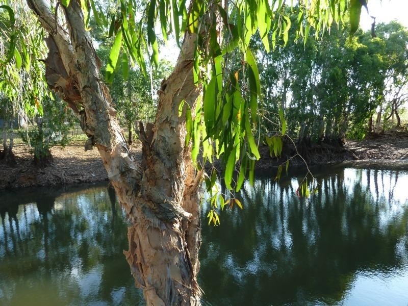 Biboohra QLD 4880