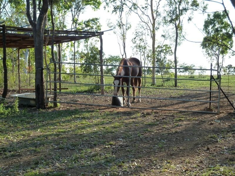 Biboohra QLD 4880
